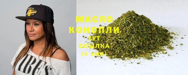хмурый Арсеньев