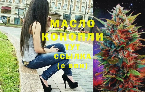 хмурый Арсеньев