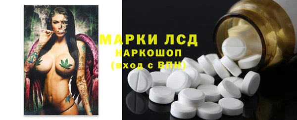 хмурый Арсеньев