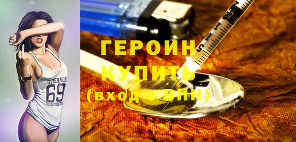 хмурый Арсеньев
