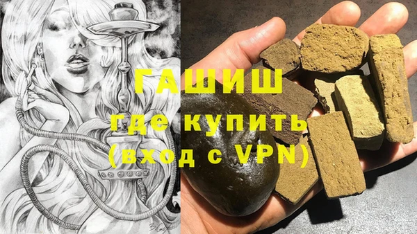 хмурый Арсеньев