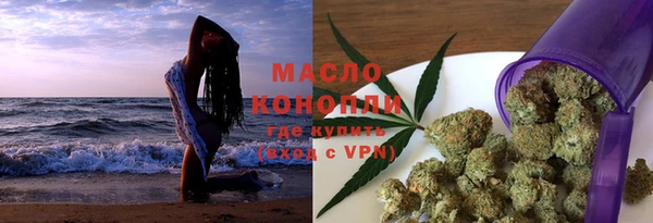 хмурый Арсеньев