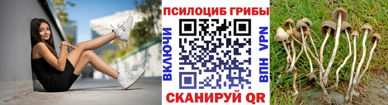 Галлюциногенные грибы ЛСД  Межгорье 