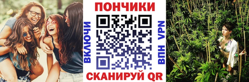 купить наркоту  Межгорье  Бошки Шишки планчик 